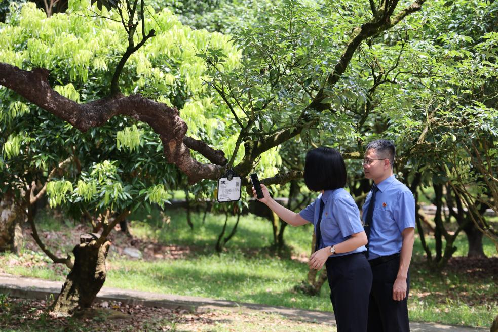 法治护品牌 检察助振兴——茂名市检察机关开展知识产权保护日系列宣传活动